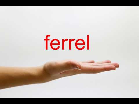 How to Pronounce ferrel - American English