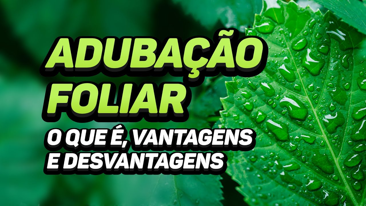 ADUBAÇÃO FOLIAR: O QUE É, VANTAGENS E DESVANTAGENS
