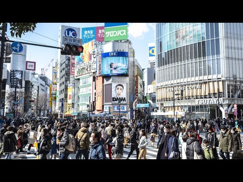 A tão esperada reabertura do Japão: primeiros turistas autorizados a visitar desde 2020 • FRANÇA 24 Português