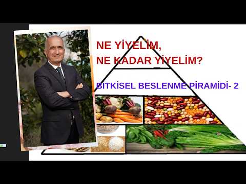 WHAT SHOULD WE EAT? HOW MUCH SHOULD WE EAT? PLANT-BASED NUTRITION PYRAMID - PART 2