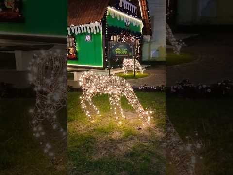 #natal #pernambuco #gravatá #nordeste #shorts