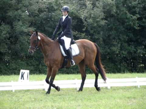 KNorthrop GVRDC Dressage