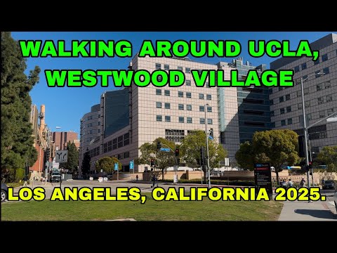 UCLA, WESTWOOD VILLAGE | WALKING TOUR | LOS ANGELES, CALIFORNIA #foryou #travel #explore #usa
