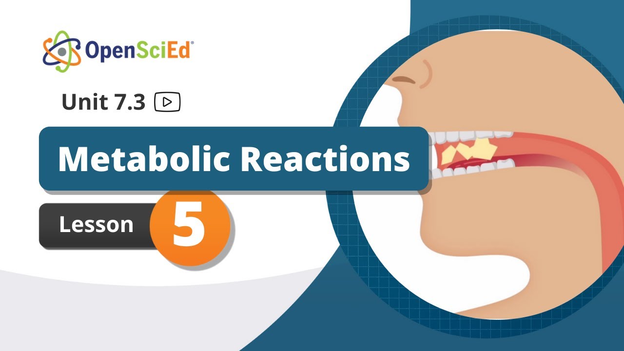 Unit 7.3 Lesson 5 | OpenSciEd On-Demand Resources