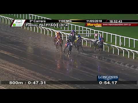 11/05/2018 – Hipodromo Maroñas – Carr 3 – PALPITADO (2014)