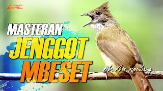 Download lagu MASTERAN CUCAK JENGGOT SUPER MBESET | AUDIO JERNIH KUALITAS HD mp3 Download lagu MASTERAN CUCAK JENGGOT SUPER MBESET | AUDIO JERNIH KUALITAS HD mp3