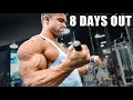 SHREDDED SHOULDER AND ARM WORKOUT 8 DAYS OUT