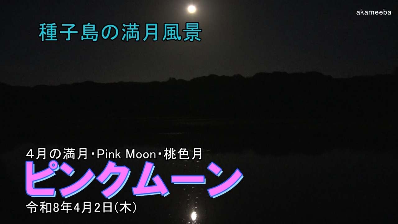 ピンクムーン 4月の満月・Pink Moon・桃色月 カノープス・水田の反射風景！2026年4月2日 - 種子島の満月風景