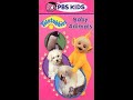 Opening To Teletubbies Baby Animals 2001 VHS