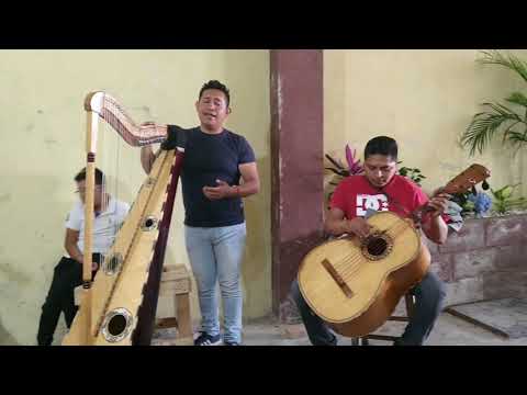 Viva Veracruz 2 Mariachi Sonidos De México Oficial de Canoa, Puebla