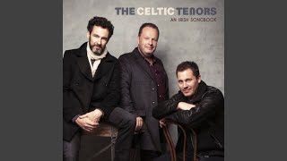 When You Were Sweet Sixteen