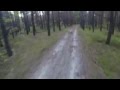 Велосипедист в лесу 