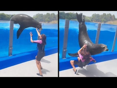 The Internet's Funniest Fails