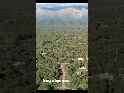 LOTES EN VENTA- SOLAR DE LA VILLA- EN VILLA DE LAS ROSAS - CORDOBA