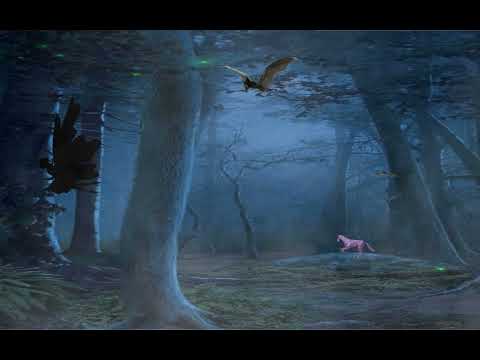 🎵🎧 Video Photo Mysteries in the Forest “NOTHING ”  No CopyRight Music🎶🎶