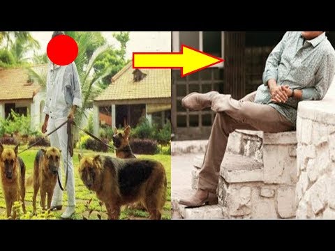 114 कुत्तों की निगरानी में रहता है इस बॉलीवुड अभिनेता का घर ....