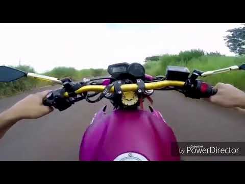 Melhores grau do (RENATO GARCIA)