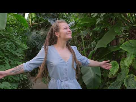 1.svitek (motivační video 10 svitků)