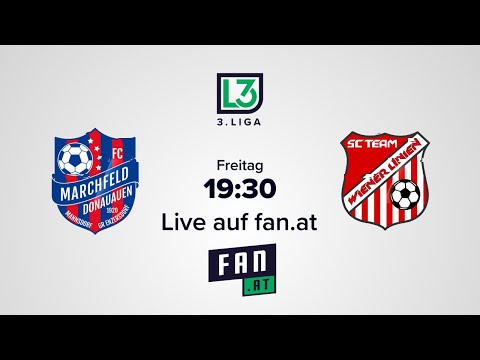 FC Marchfeld Mannsdorf - SC Team Wiener Linien