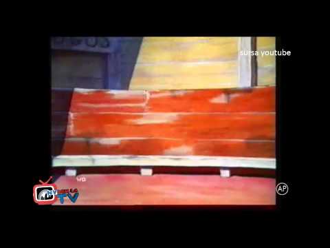 Directia 5 NVdem la TV(Raluca Jofi)