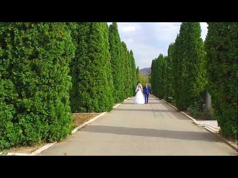 Ovidiu Liteanu  "Nuntă binecuvântată" || versuri la descriere👇