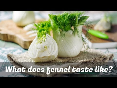 download lagu mp3 mp4 What Does Fennel Taste Like, download lagu What Does Fennel Taste Like gratis, unduh video klip What Does Fennel Taste Like