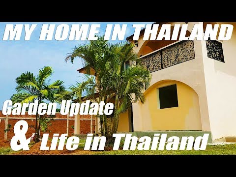 download lagu mp3 mp4 Thailand Palm Trees, download lagu Thailand Palm Trees gratis, unduh video klip Thailand Palm Trees