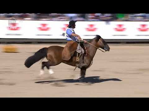 Final Freio de Ouro (RS) - 3º lugar machos - Jotace Amuleto (prova: Bayard/Sarmento)