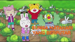 Bunga Matahari Yang Berputar | Kartun Anak Bahasa Indonesia | Shimajiro Indonesia