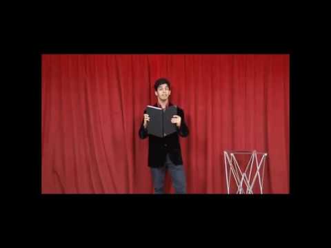 FIRE BOOK & DOVE CAGES - DATONA MAGIC