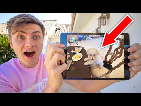 MY DOG DOES THIS WHEN I LEAVE?? (HIDDEN CAMERA) Video