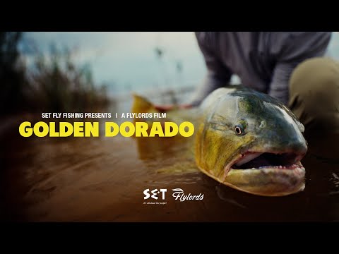 Flylords and Set Fly Fishing