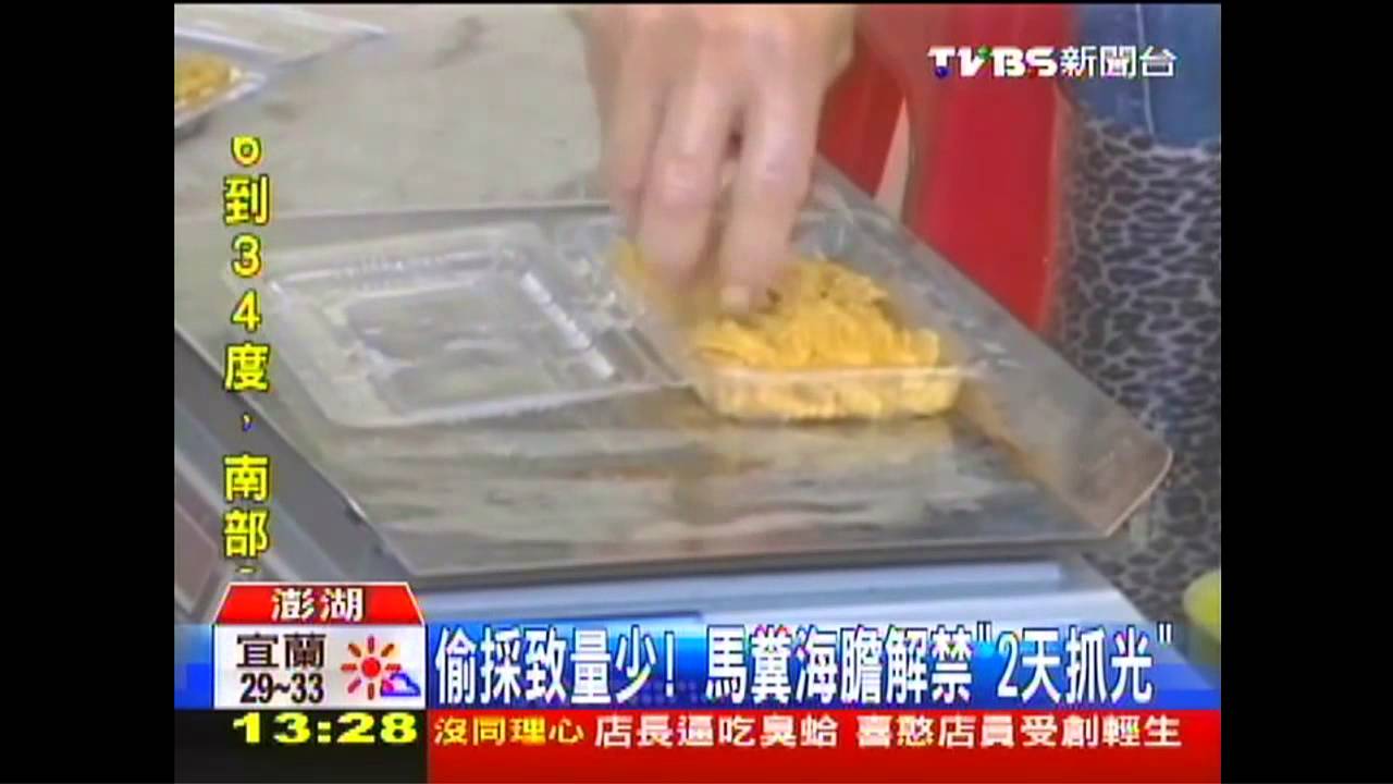 偷採致量少! 馬糞海膽解禁「2天抓光」