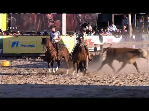 Final Freio de Ouro (RS) 1st place males: Santa A. Nublado II; 2nd: Urso de Sta Thereza (Campo II)