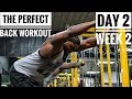 The Perfect Back Workout | Day 2 - Week 2