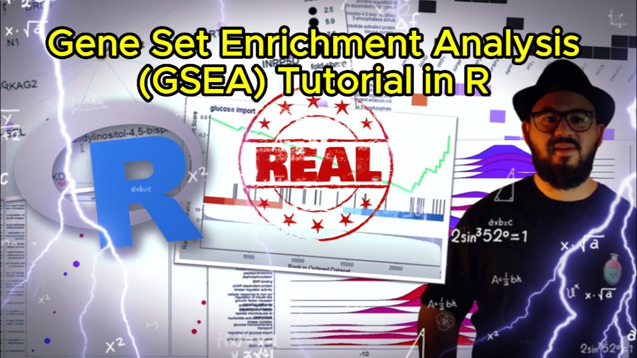 Gene Set Enrichment Analysis (GSEA) Tutorial in R | Bioinformatics for Beginners Tutorial