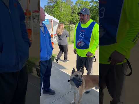 Having Fun With Dogs and Mario Gomes