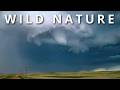 UNREAL NATURE Natural Phenomena That Don T Seem Real