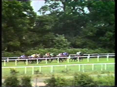 1988 King George VI and Queen Elizabeth Diamond Stakes