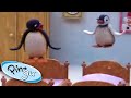 Pingu Pinga S Sleepover Fun Pingu Official Cartoons For Kids