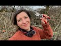 Apple Tree Pruning Homegrown Garden
