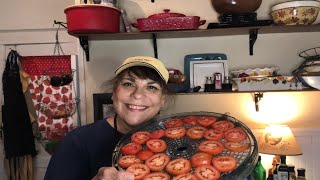 Dehydrating tomatoes! Will it work?