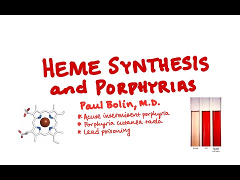 Heme Synthesis and Porphyrias - CRASH! Medical Review Series