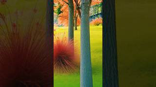 Download lagu Perkara yang Banyak Memasukkan seseorang ke Surga dan Neraka, Ini Jawaban Baginda Nabi Saw mp3