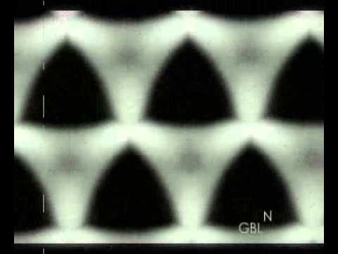 Daddy Freddy - Turn It Up - GBLNFCE VERSION