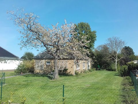 Bungalow Nr. 28 in Dahme