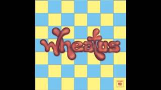 Anyway ~ Wheatus