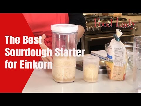 Best Sourdough Starter for Einkorn Wheat- Pasta Madre-Fullproof