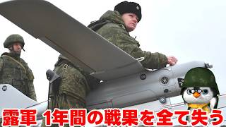 【ペンギン閣下】ロシア兵一人に対してドローンが30機飛来！【ウクライナ情勢】