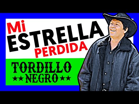 🐴 TORDILLO NEGRO - MI ESTRELLA PERDIDA (Video Oficial)